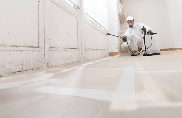 24/7 Emergency Mold Removal experts in Livingston, TX